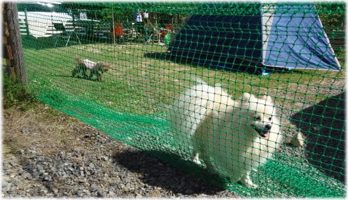 アウトドアベース犬山キャンプ場 写真6