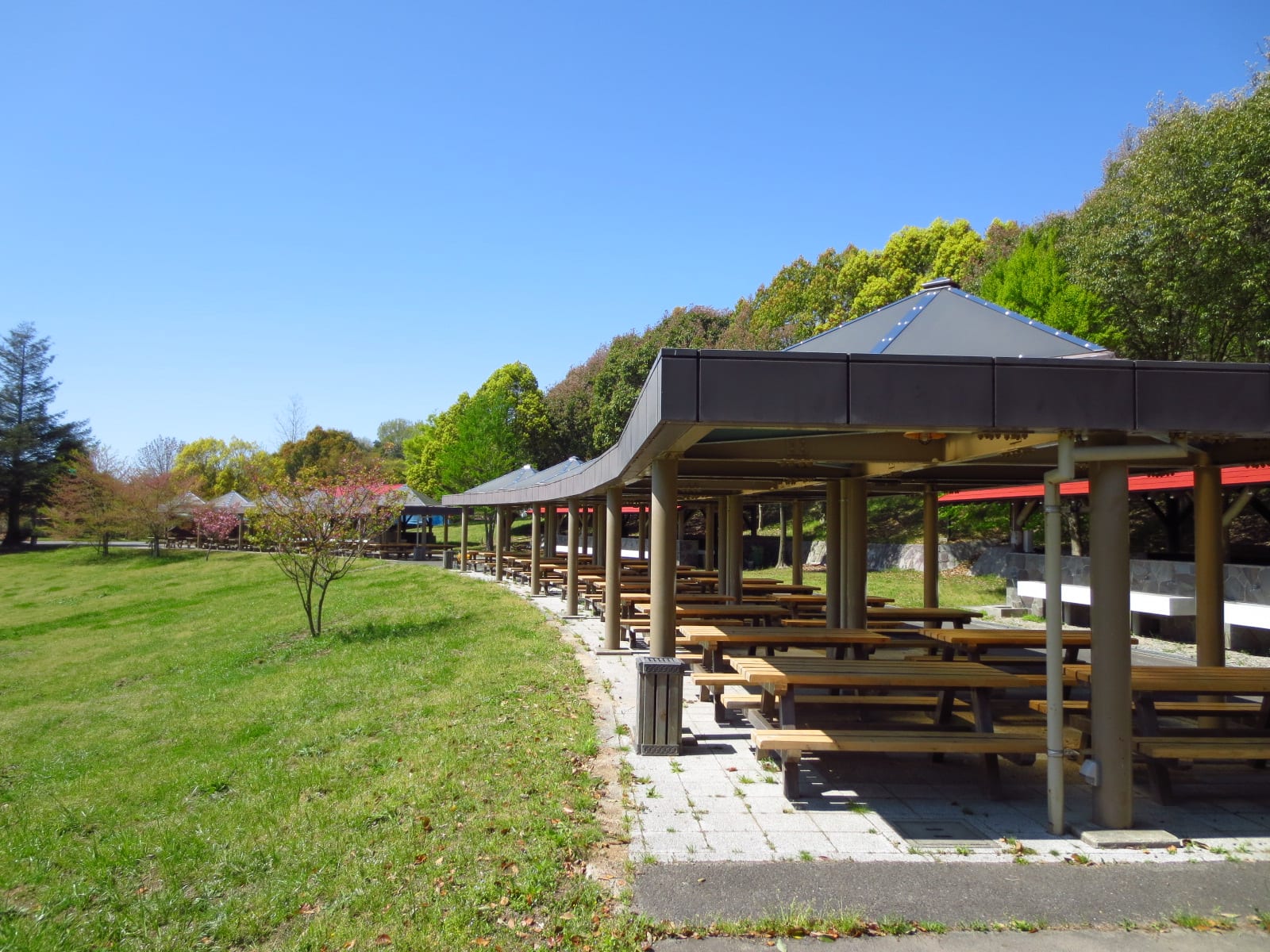 松山市野外活動センター 写真5
