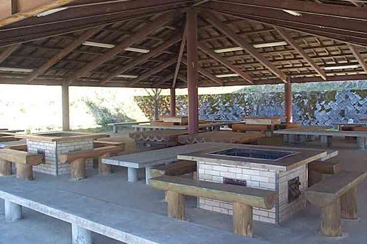 霧の高原 写真7