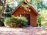 弥高山公園キャンプ場 写真4