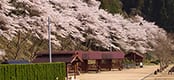 湯の瀬温泉郷キャンプ場 写真2