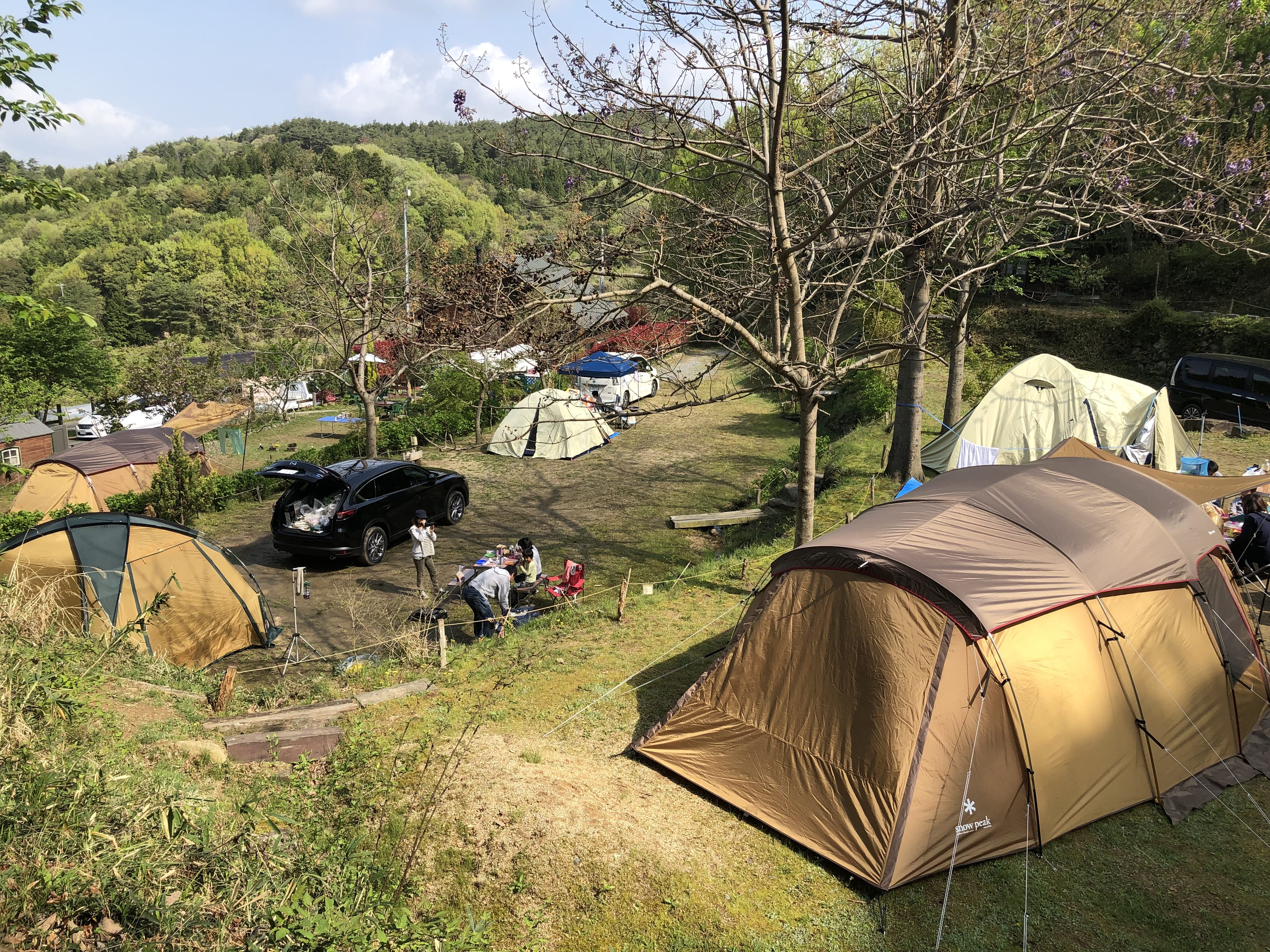 としおじさんのキャンプ場 写真3