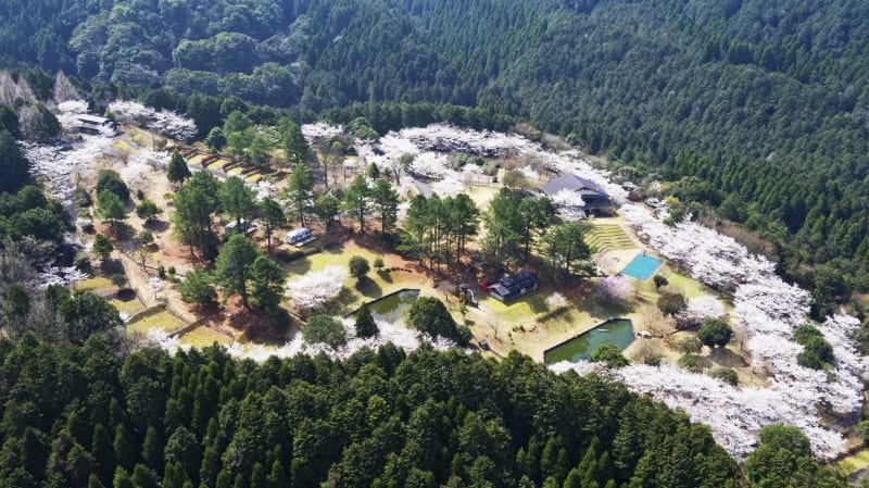 ビハ公園キャンプ場 写真5