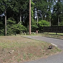 四季の里旭志キャンプ場 写真6