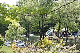 吉原ごんべえ村 写真3