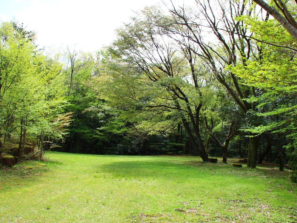ゴンドーシャロレーオートキャンプ場 写真2