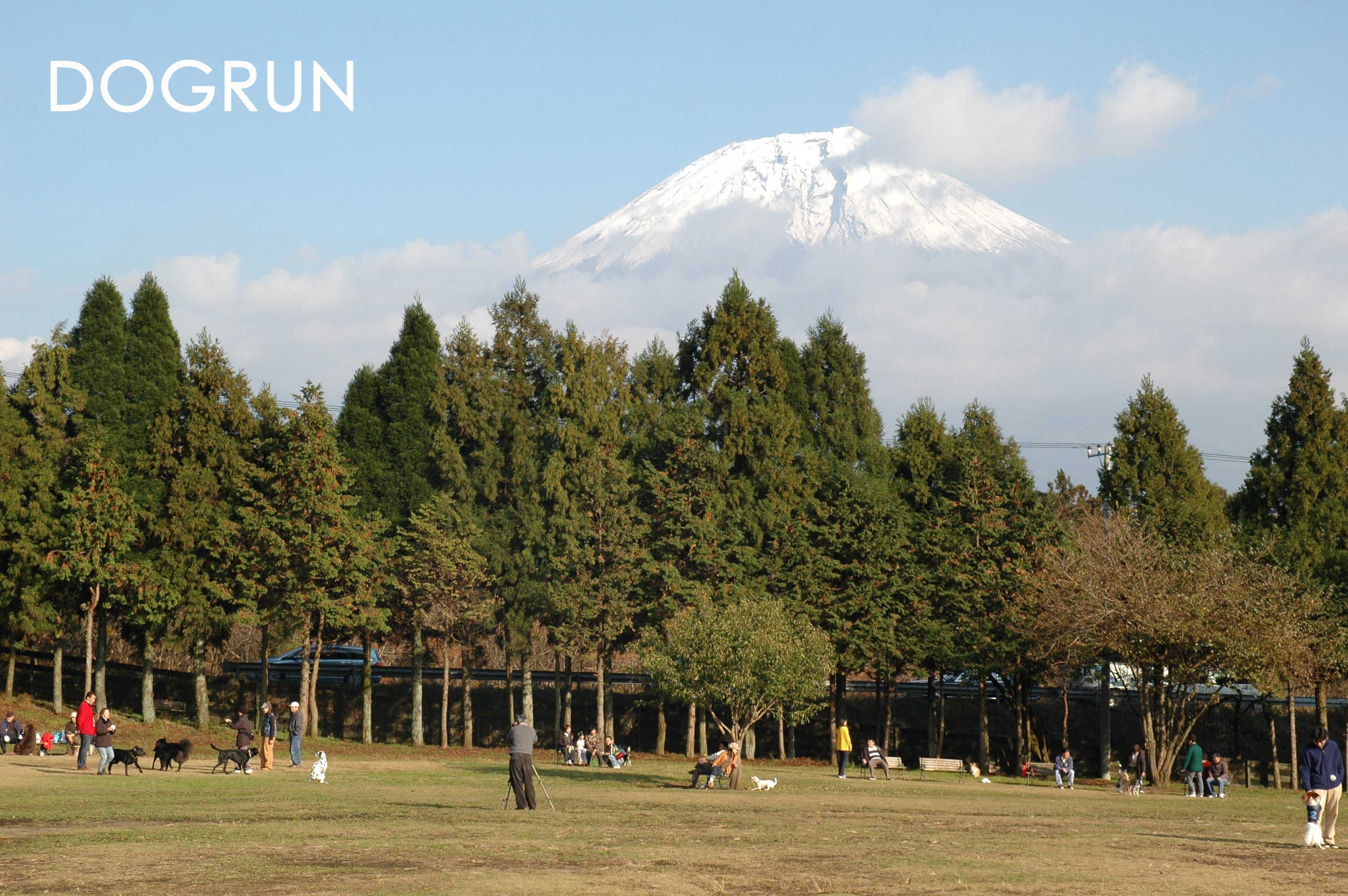 ASAMA Park Field 写真8