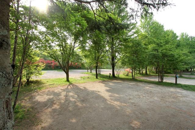 北軽井沢スウィートグラス 写真6