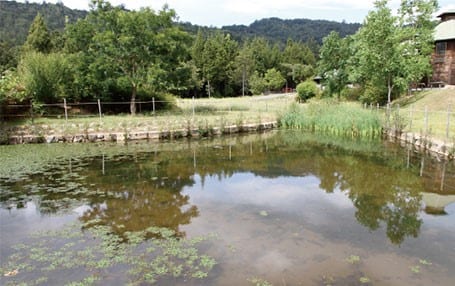 憩いの森公園 写真3