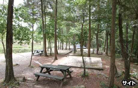 憩いの森公園 写真5
