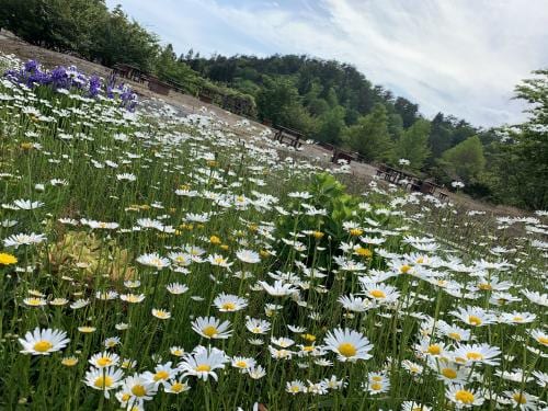 宇根山家族旅行村 写真4