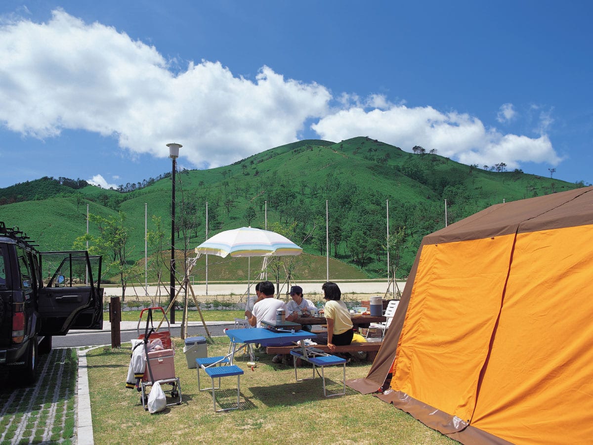 深入山グリーンシャワー 写真3