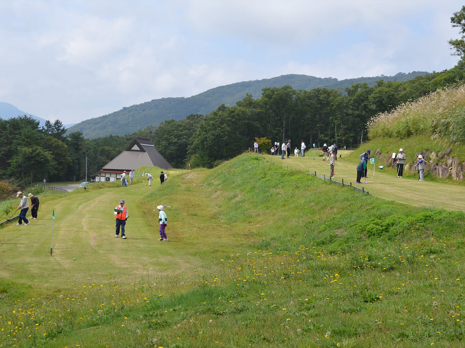 深入山グリーンシャワー 写真5