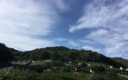 小豆島ふるさと村キャンプ場 写真3