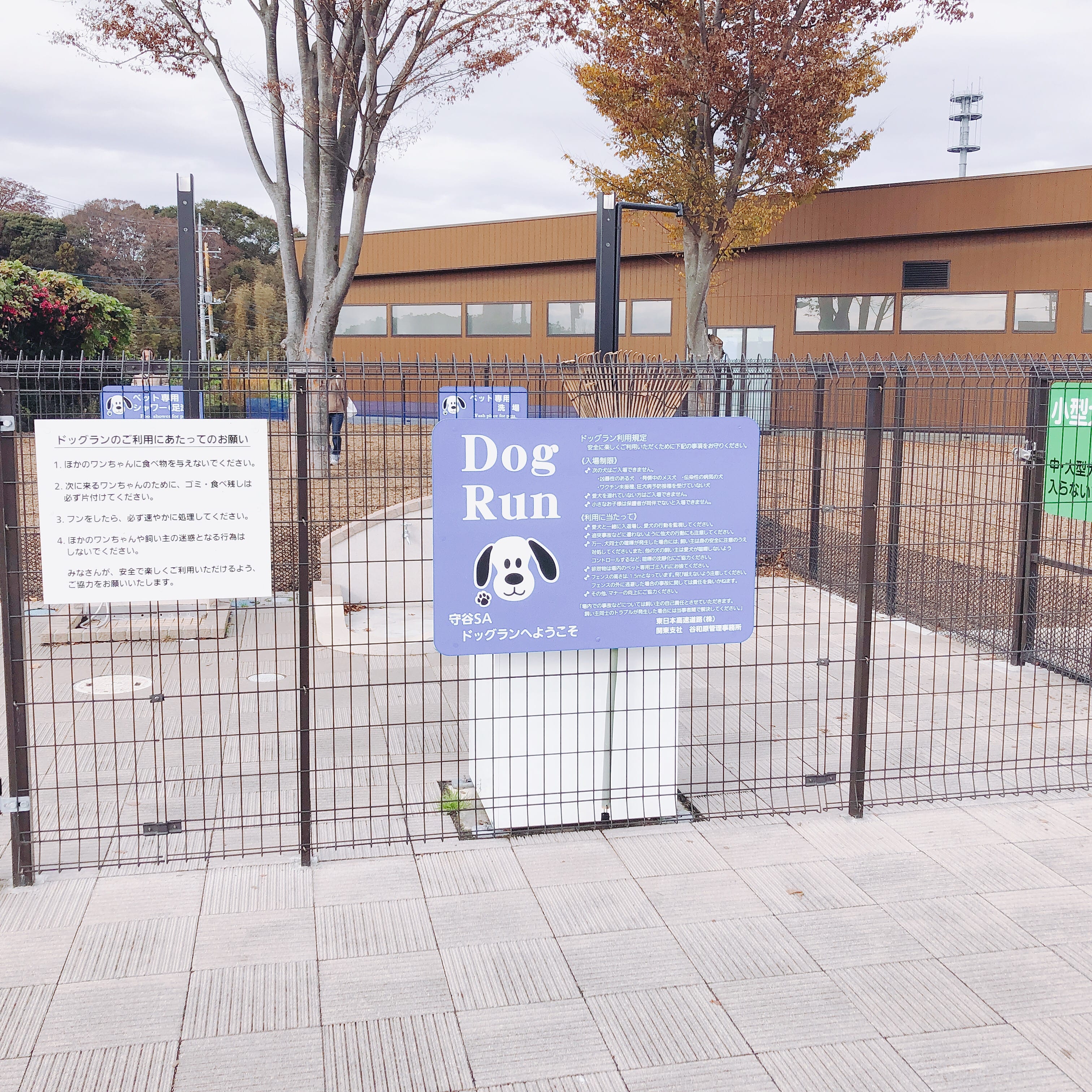 守谷SA 写真4