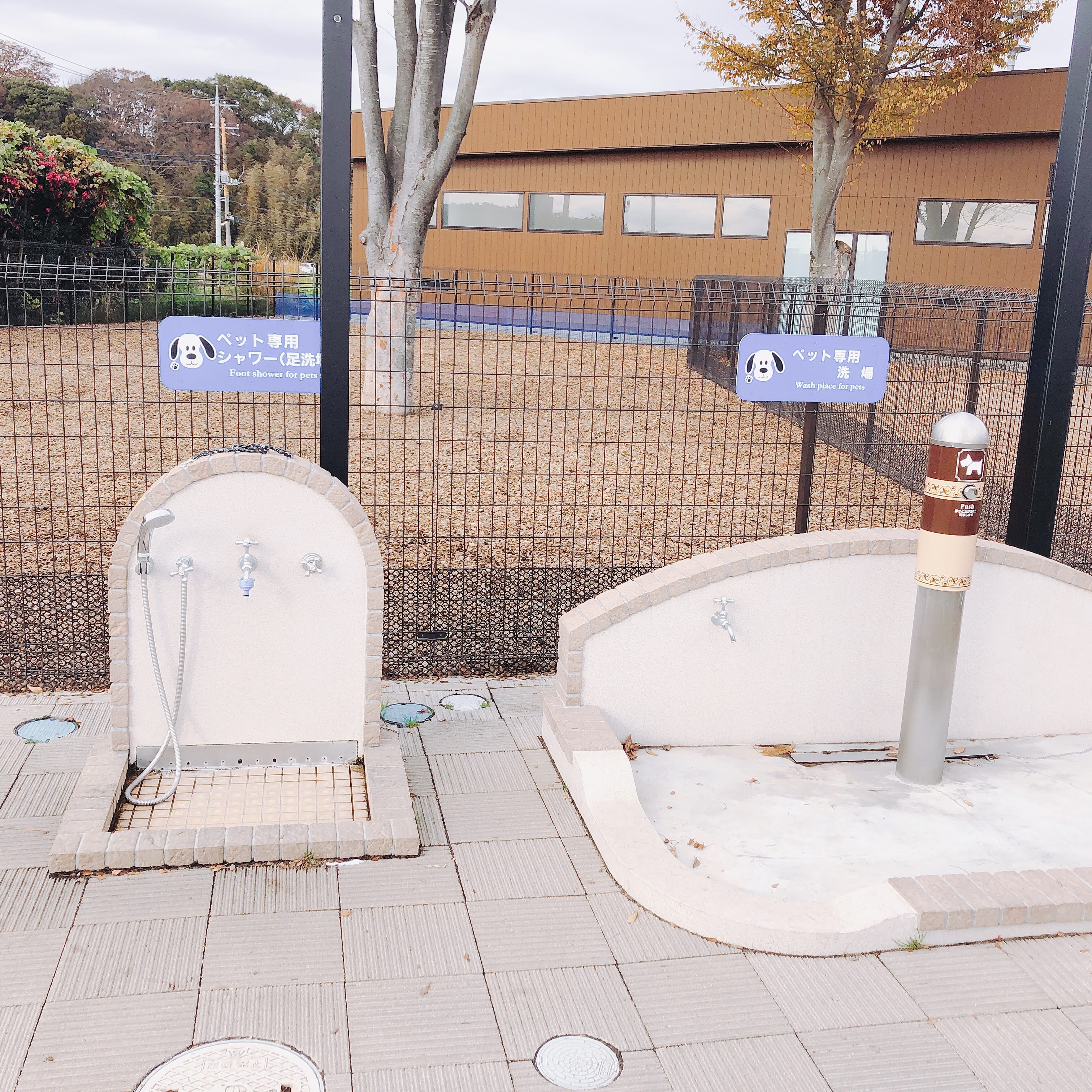 守谷SA 写真5