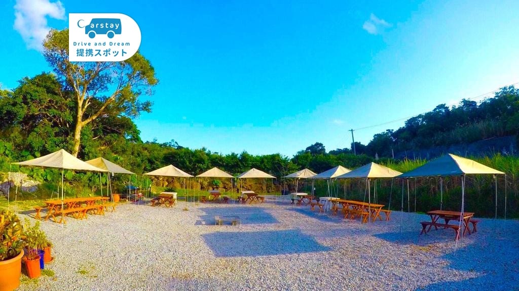 やんばるBBQキャンプ場 写真2