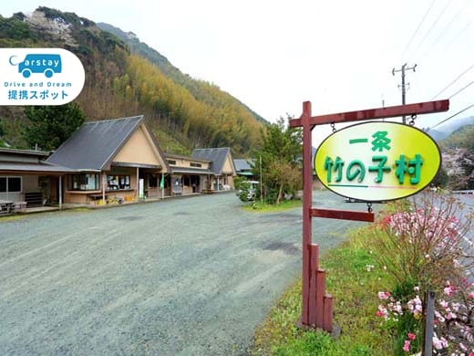 一条竹の子村 写真3