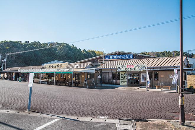 道の駅 めじかの里土佐清水
