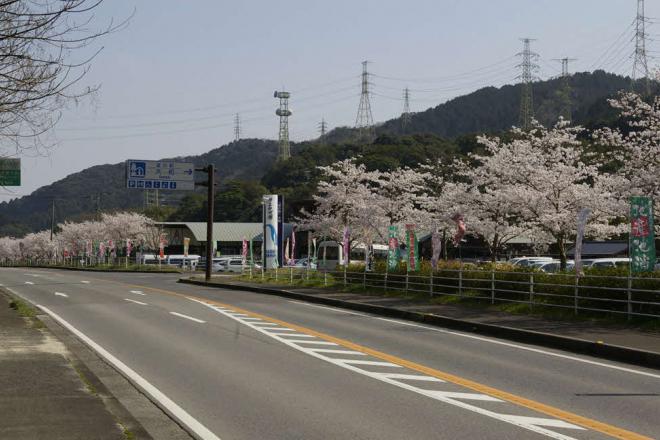 道の駅 大和 写真2