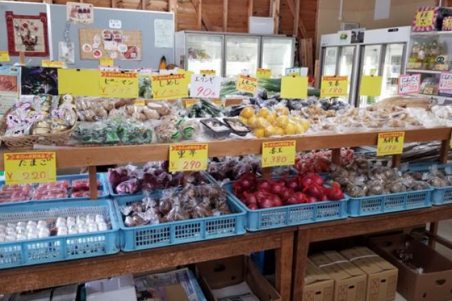 道の駅 うり坊の郷 ｋａｔａｍａｔａ 写真2