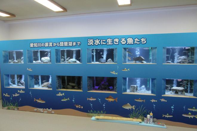 道の駅 奥永源寺 渓流の里 写真3