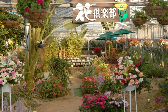 道の駅 おおつの里 写真2