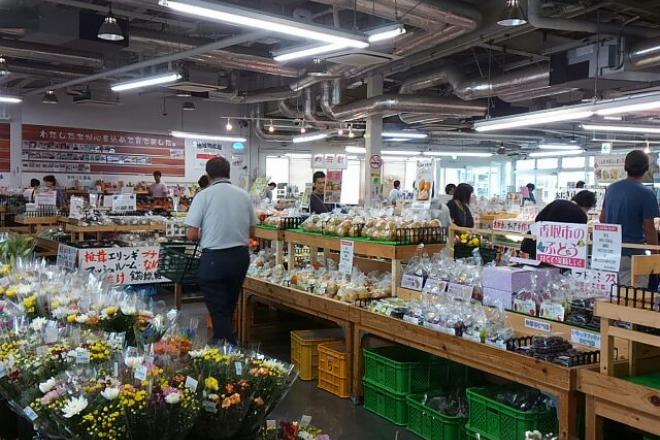 道の駅 水の郷さわら 写真2