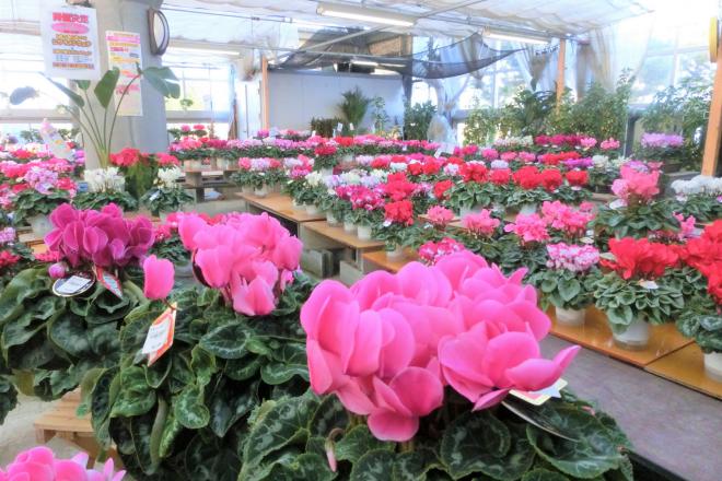 道の駅 湯の川 写真3