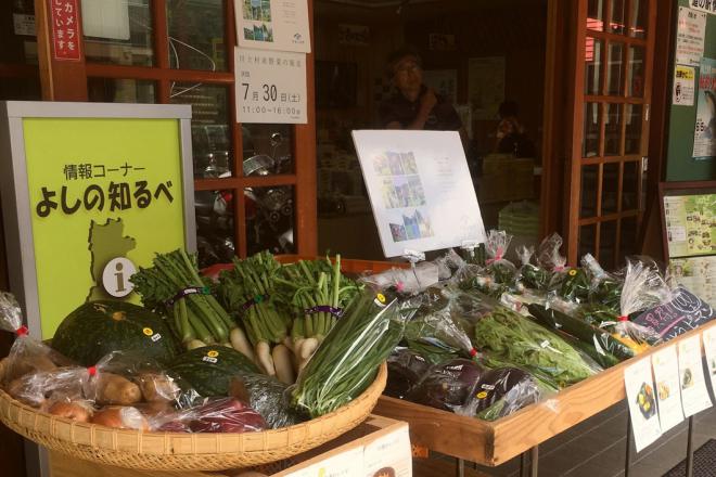 道の駅 杉の湯 川上 写真3