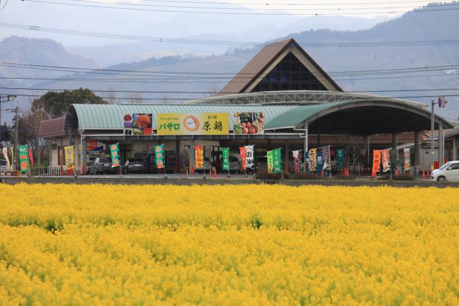 道の駅 原鶴 写真2