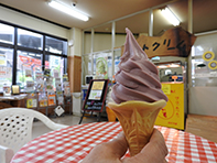 道の駅 原鶴 写真4