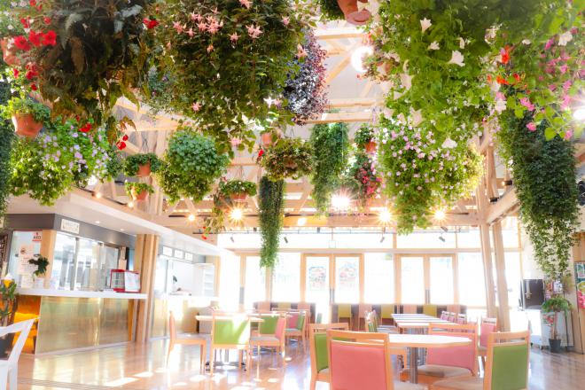 道の駅 いいたて村のまでい館 写真2