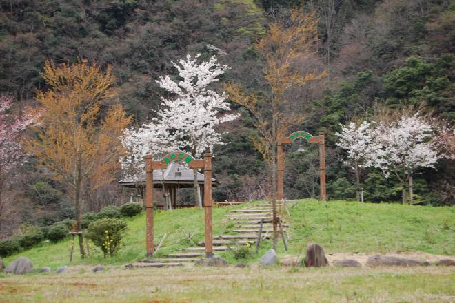 道の駅 あゆの里 矢田川 写真3