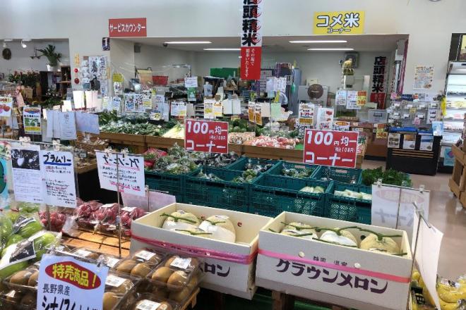 道の駅 藤川宿 写真3