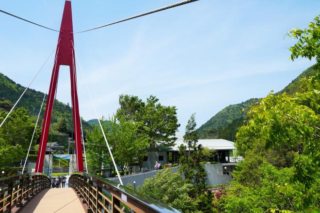 道の駅 霧の森