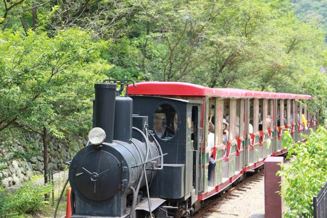 道の駅 マイントピア別子 写真2