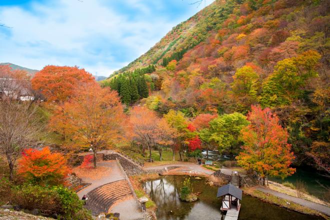 道の駅 明宝 写真3