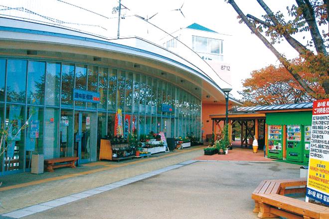道の駅 柳津