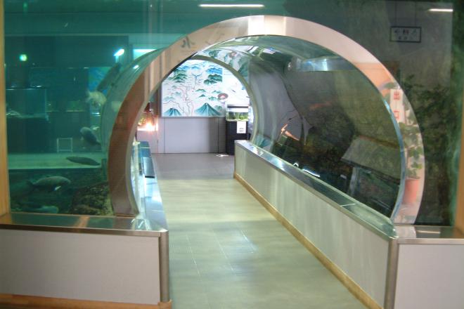 道の駅 みなかみ水紀行館 写真2