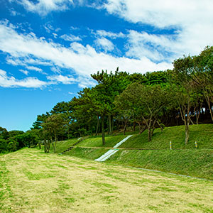 波戸岬キャンプ場 写真9
