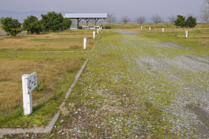 海遊ふれあいパークオートキャンプ場 写真5