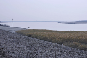 海遊ふれあいパークオートキャンプ場 写真7