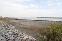 海遊ふれあいパークオートキャンプ場 写真8
