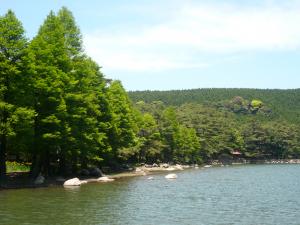 嬉野市営広川原キャンプ場 写真3