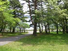 本栖湖いこいの森キャンプ場 写真6