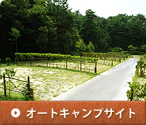 グリム冒険の森 写真7