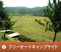グリム冒険の森 写真9