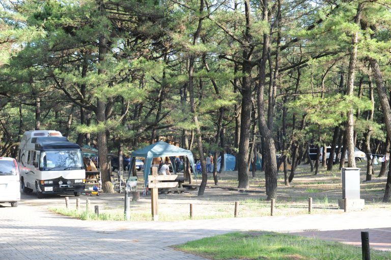 くにの松原キャンプ場 写真4