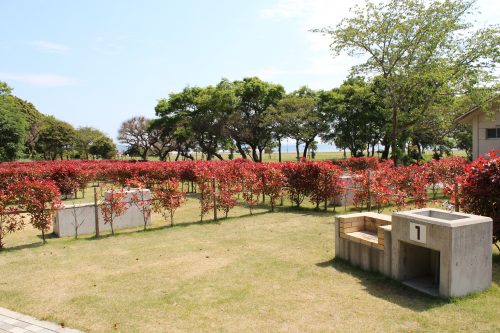 国東市くにみオートキャンプ場 写真4